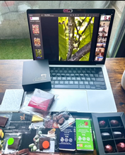 Load image into Gallery viewer, VIRTUAL Chocolate Tasting for 5 guests